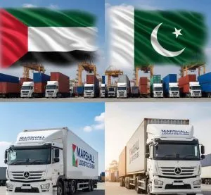 Intl Movers Dubai To Pakistan