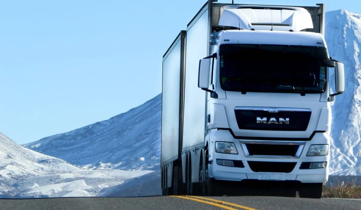 Shipping & logistics services